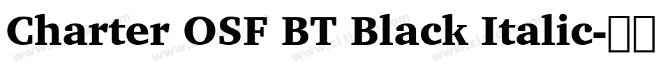 Charter OSF BT Black Italic字体转换